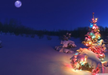 new years eve in nature - lights, winter, moon, trees, mountain, christmas