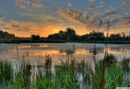 sunrise over pond in minnesota refuge - clouds, trees, reeds, pond, sunruse