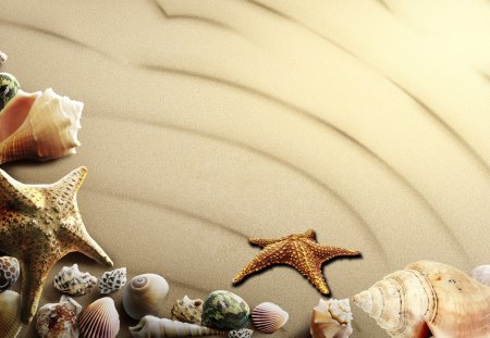 Ripples in the Sand - ocean, beach, sea shells, star fish, shore, sand, sea, rocks