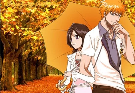 IchiRuki - kill, battle, bleach, shinigami