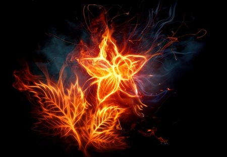 â™¥flower on fireâ™¥ - good, beauty, abstrac, seagull