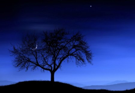 Night of blue - hill, moon, blue, night, tree, sky