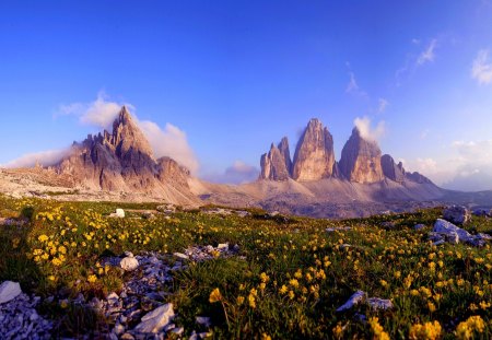 FLOWER FIELD - flowers, sky, mountains, clouds