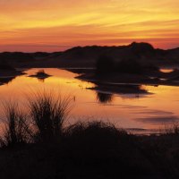 Lake at sunset