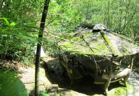 Pavilion - wood, pavilion, forest, moss, bamboo