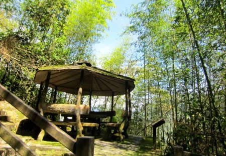 Pavilion - wood, pavilion, forest, moss, bamboo