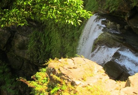 waterfall - waterfall, cliff, plants, sunny day, mountain, rocks