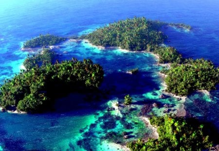 AERIAL VIEW LANDSCAPE - forest, land, aerial, view, beach, ocean