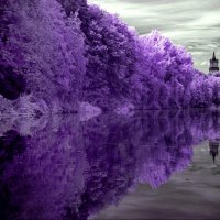 Purple reflections