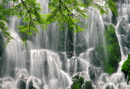 Waterfall - cascades, summer, amazing, stream, branckes, leaves, mountain, gorgeous, nice, falling, water, beautiful, lovely, tree, fall, river, nature, waterfall, green