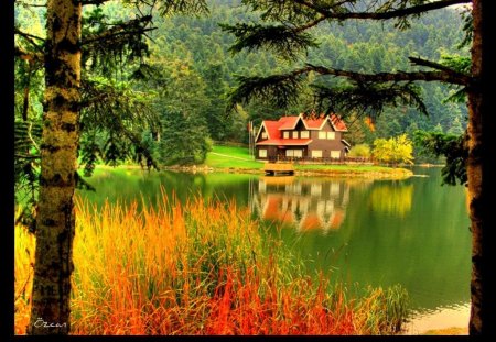 Calm lake - lakeshore, cottage, autumn, trees, peaceful, riverbank, greenery, colorful, clear, mirrored, calm, reflection, calmness, emerald, river, green, house, lake, mountain, shore, serenity, nature, forest, flowers, cabin