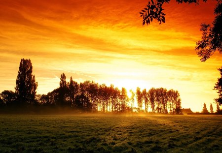 Sunset in Nature - sky, field, trees, sun, colors