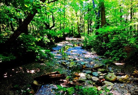 Riverbed - riverbed, ohio, creek, highbanks