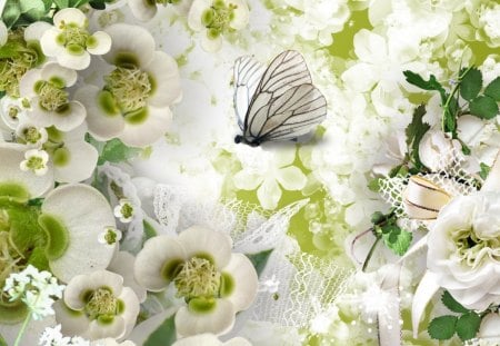 Orchids and Butterfly - orchids, delicate, exotic, bow, fleurs, lace, ribbon, netting, flowers