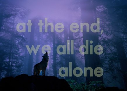 quotes,wolves - andscapes, wolf, despair, quotes, forest, howling, solitude, wolves