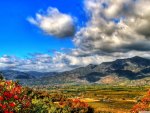 autumn in the valley through flowers