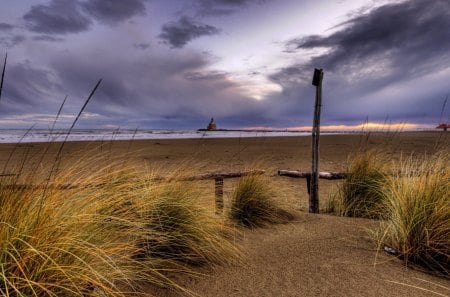 grass on a cloudy beach - clouds, grass, fence, beach