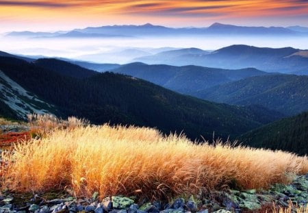 beautiful mountain scenery - clouds, fog, stones, mountains, grass