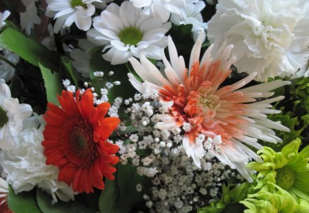 Bouquet of flowers 57 - flowers, white, red, green, Photography, Daisy