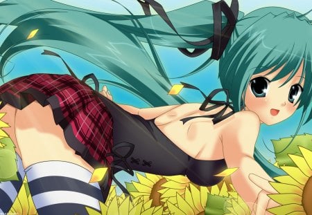 Sunflower Song - vocaloid, project diva, blue, dress, hatusne miku, black, white, sunflower, diva, 01, song