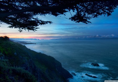 beautiful coastal dusk - clouds, coast, tree, sunset, sea