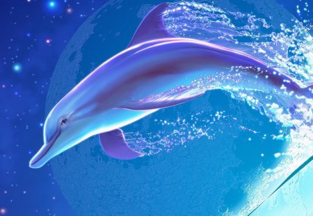 Playful Dolphin - dolphin, sea, nice, play