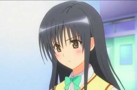 Kotegawa Yui - pretty, school, girl, cute, kotegawa yui, to love ru