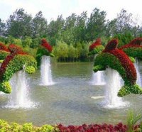 dolphins in a garden