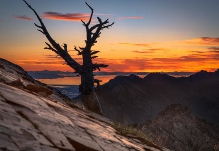 Mountain Slope Sunset - slope, sky, river, orange, tree, sunset, mountains