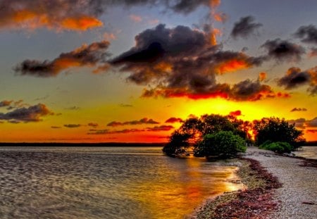 SUNSET - clouds, trees, sunset, hdr, ocean, walkway