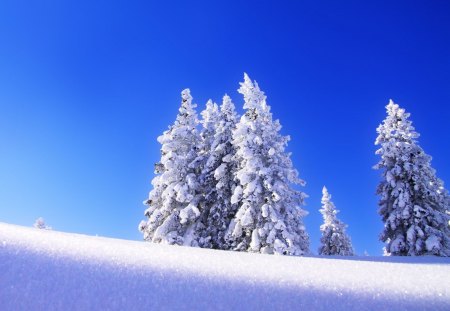 Snow - nature, sky, blue, snow