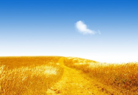 Field - sky, field, path, blue