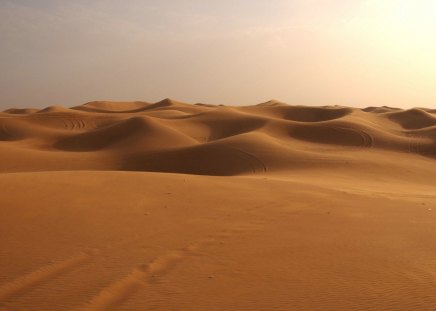 Desert - desert, sand