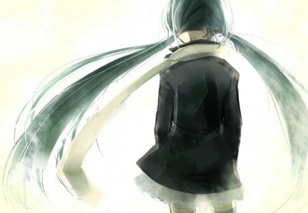 You will always only see my Back - idol, back, vocaloid, anime, turquise hair, hatsune miku