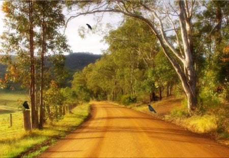 Rustic Road - path, road, rustic, way