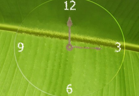 Leaf Clock - hands, droplet, glass, numbers, rain, water, clear, leaf, nature, clock, drop, green