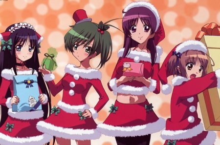 Female Santa Outfits - christmas, anime, x-mas, anime girls, santa outfit