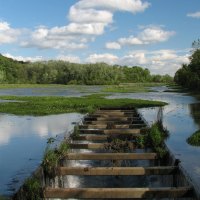 Wildwood Lake