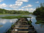 Wildwood Lake