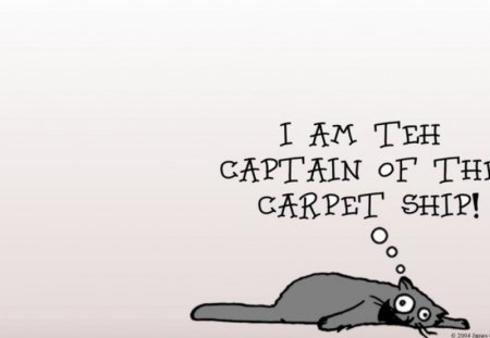 I Am The Captain - carpet, ship, streched, cat, incharge