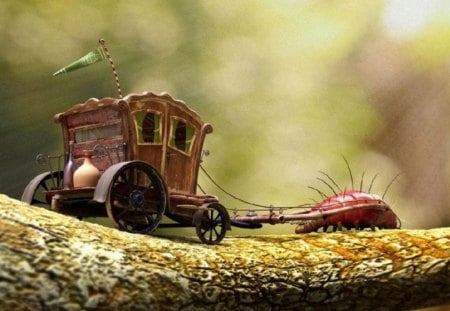 Bug Transport - carriage, branch, bug, nature