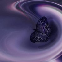 Butterfly Swirl