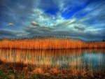 	Wetlands Country