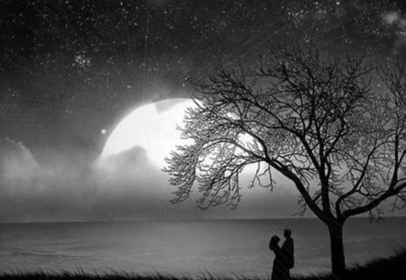 Silhouette Lovers - moonlight, tree, lovers