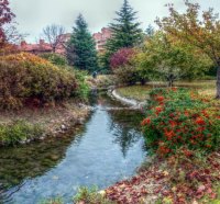 autumn park shades