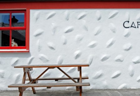 Coffee Shop - bench, window, photography, wall