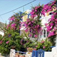 Flowered hotel