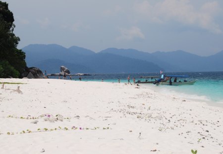 tioman island - malaysia, island, beach, tioman