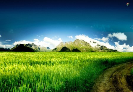 The joy of the nature - landscape, field, nature, green, grass