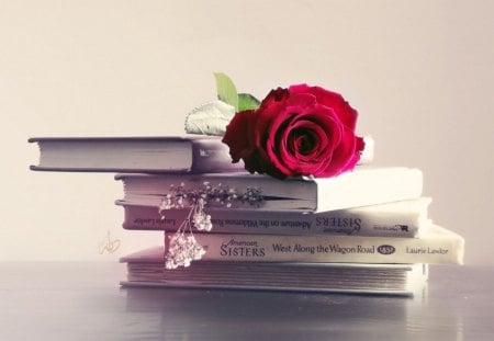 This is the humanity... - love, forever, red, books, humanity, rose, red rose